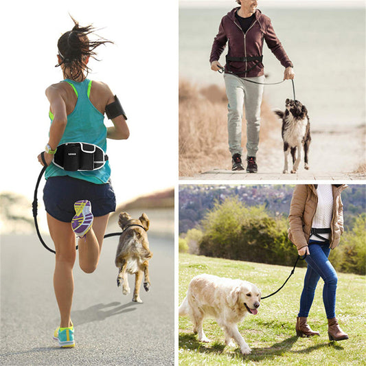 Summit Hands-Free Hiking Leash