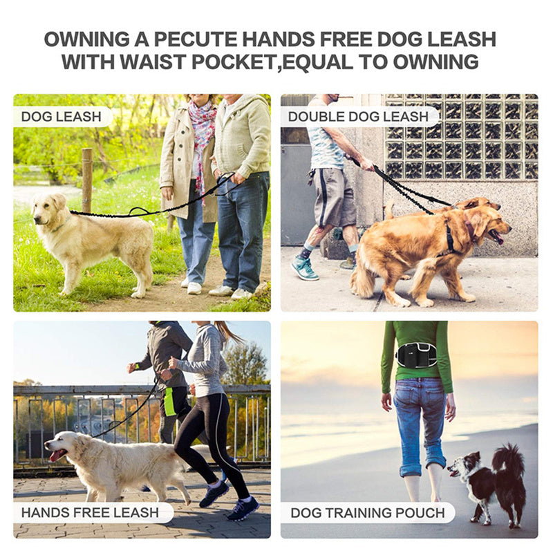 Summit Hands-Free Hiking Leash