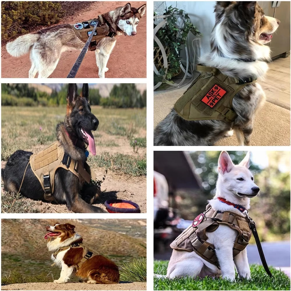 Summit Pup Gear – Trail-Ready Harness (No-Pull Adventure Fit)