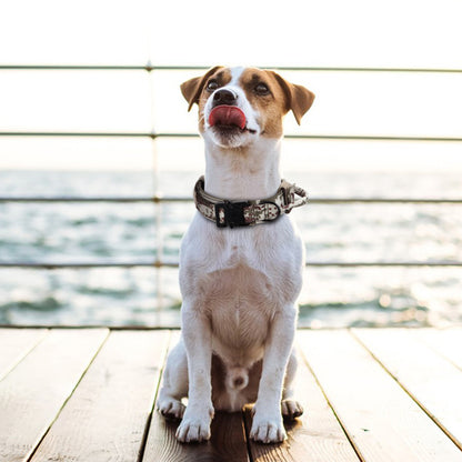 Summit Heavy Duty Collar